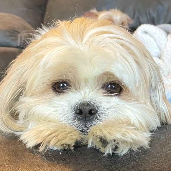 Only 50 Days left to shop for the Holiday!! - Picture 1 of 1